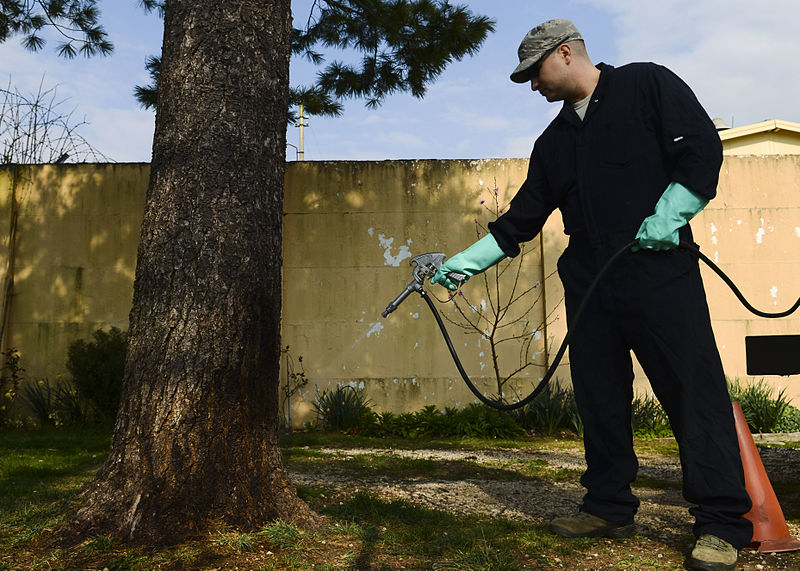 Best Ways to Keep the Pestering Pests at Bay - Beniska House - Finding ...